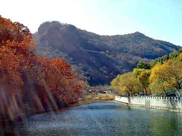 新澳门正版免费大全，山东大葱种植技术